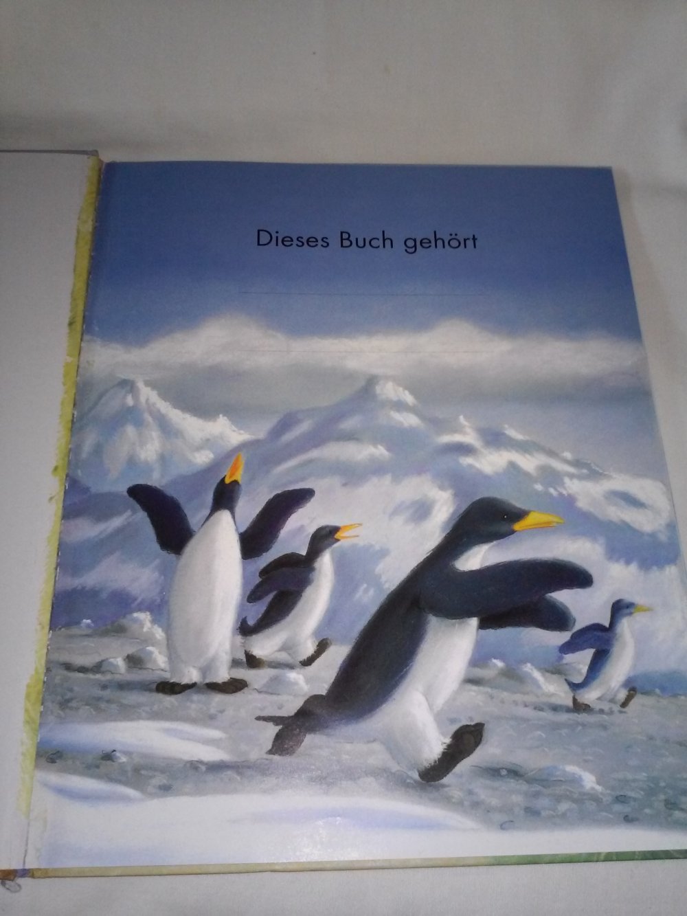 Susie Jenkin-Pearce: Pino und Pingi (Pinguin) - Kinderbuch alt