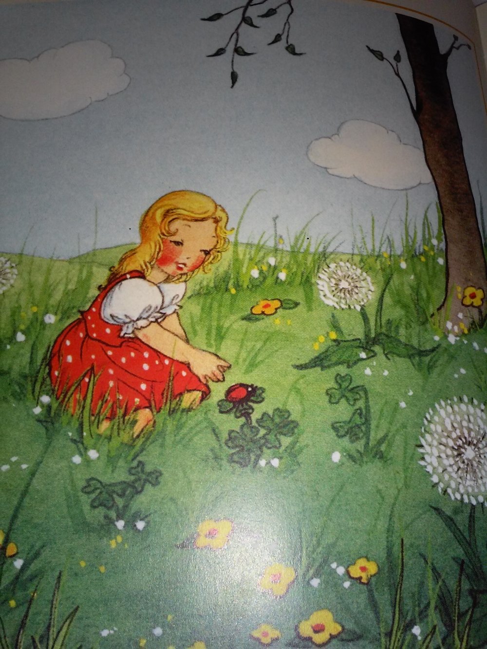 Hannes Döbbelin -Rose Komáromi: Der Käfer Kribbel-Krabbelbein