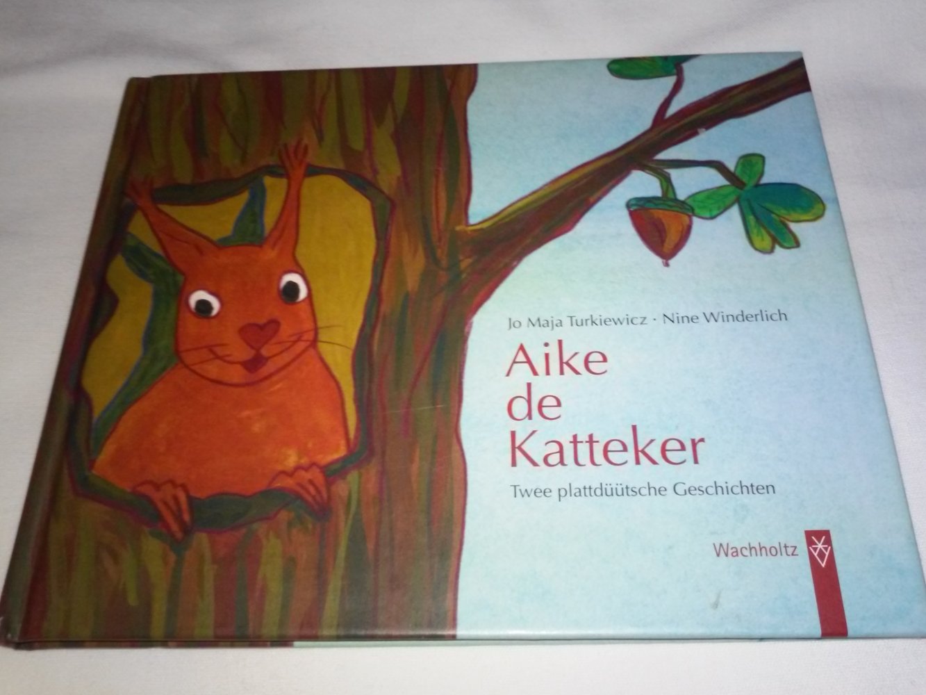 Jo M Turkiewicz: Aike de Katteker /Aike sien Aventüür