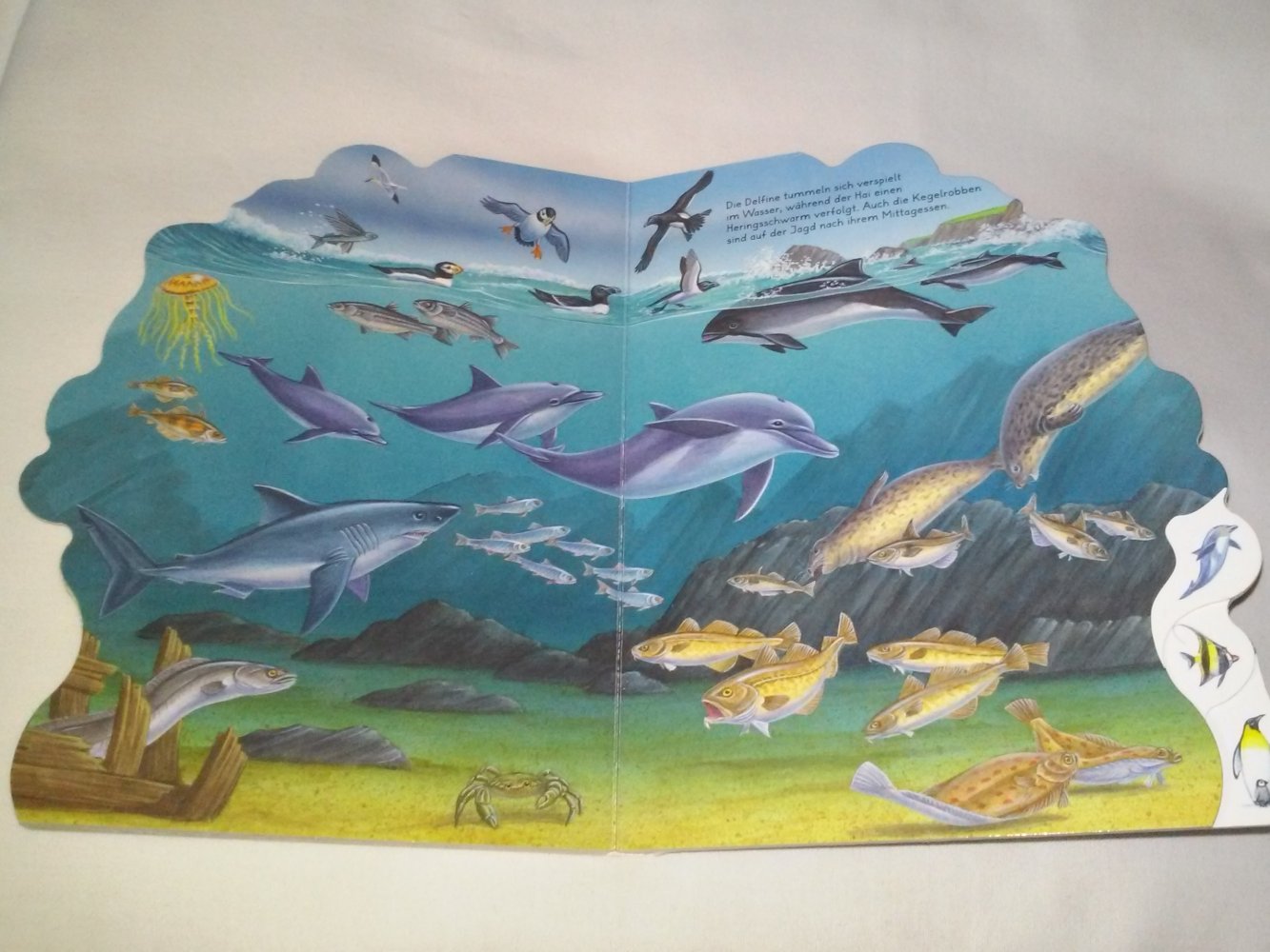 Bob Bampton/Bernhard Thornton: Die Tiere der Erde (Berge und Wasser)