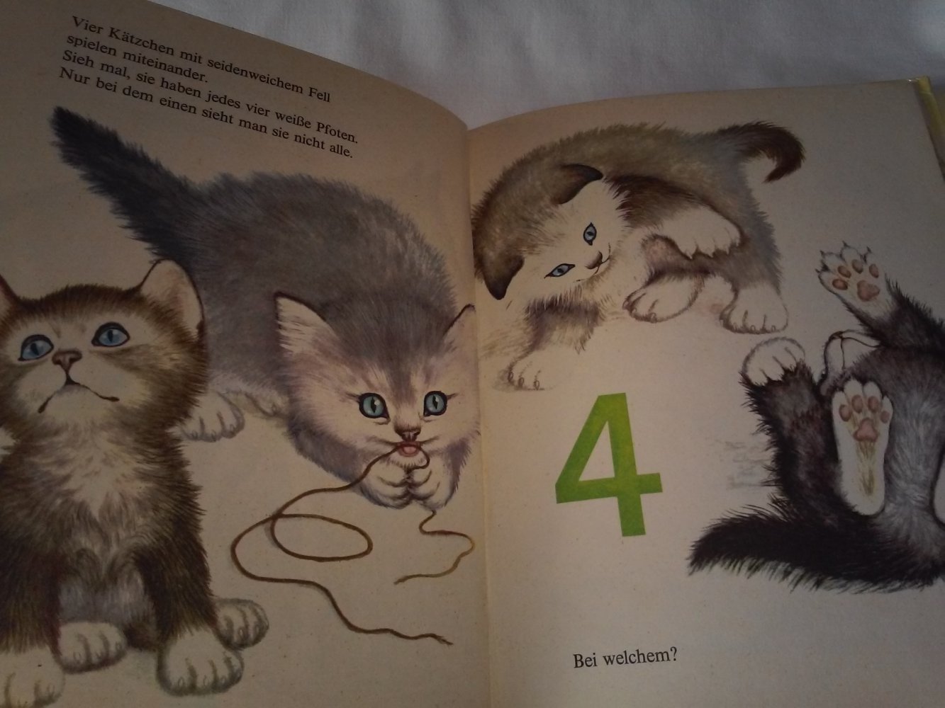 Zähl mit! Ein DAXI-Buch Nr. 43  altes Kinderbuch