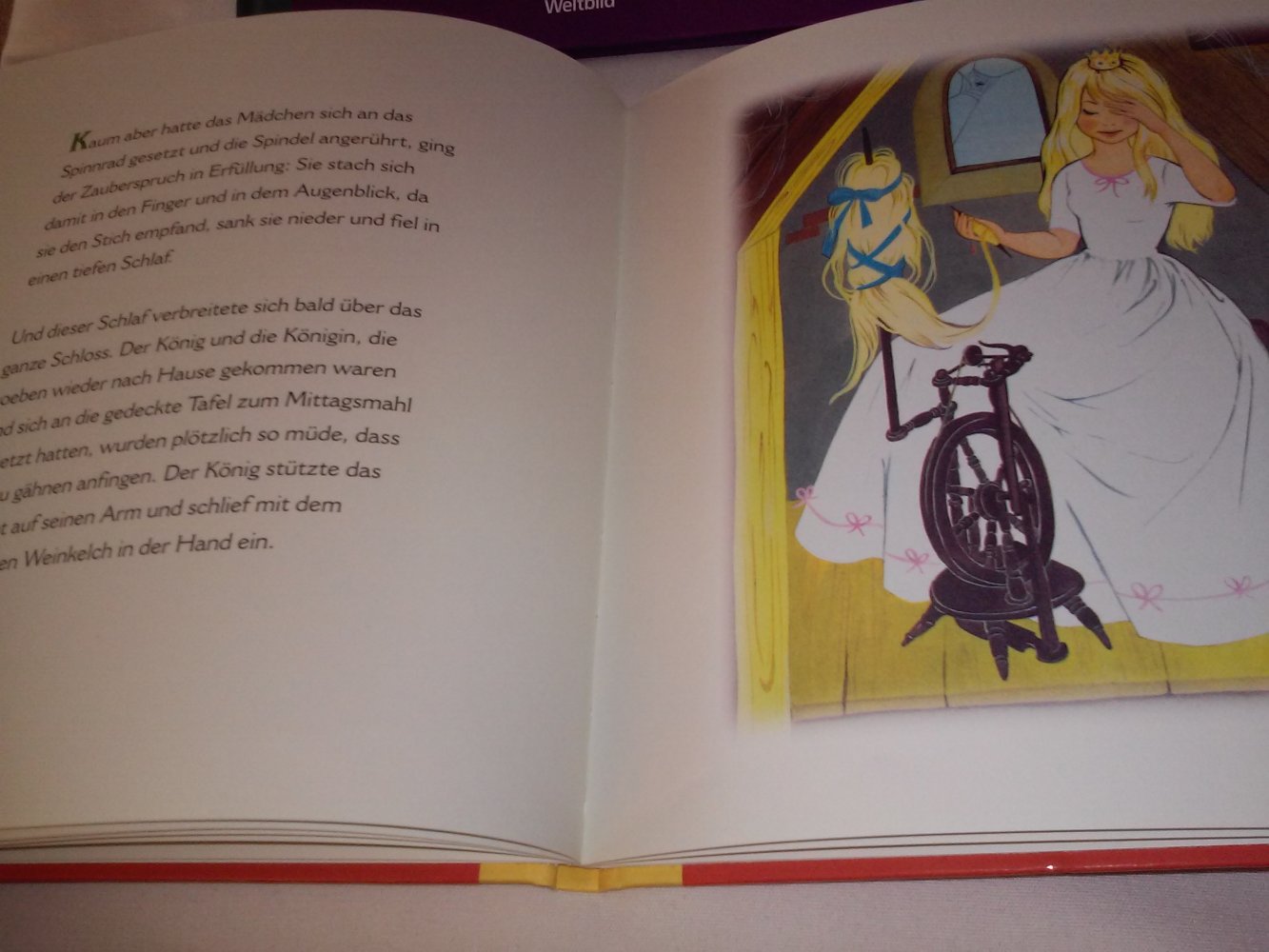 Nostalgischer Märchenschatz: Dornröschen,Frau Holle,tapfere Schneiderlein,Däumling