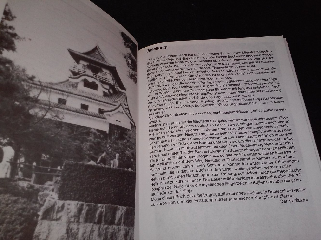 Wolfgang Ettig: Ninja Die Schattenkrieger Teil 3