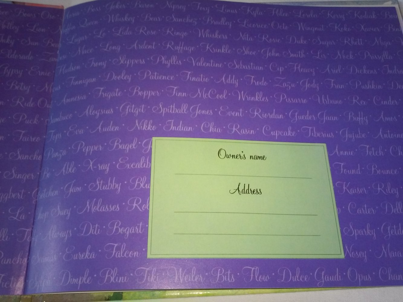 My Puppy's Record Book/Book and Good Dog Award (altes Kinderbuch wie neu)