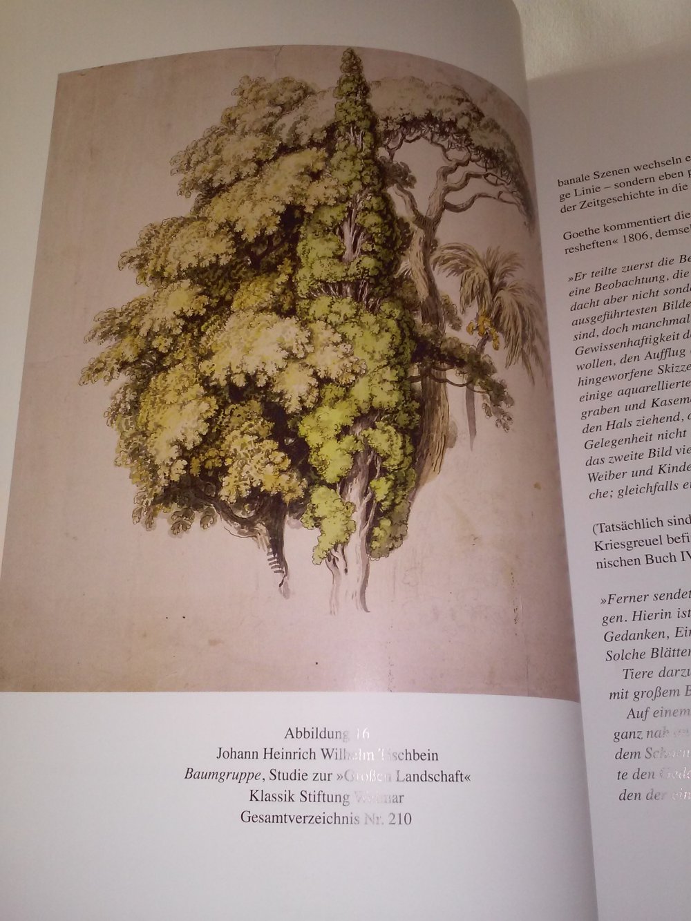 Johann Heinrich Wilhelm Tischbein. Der Maler als Poet