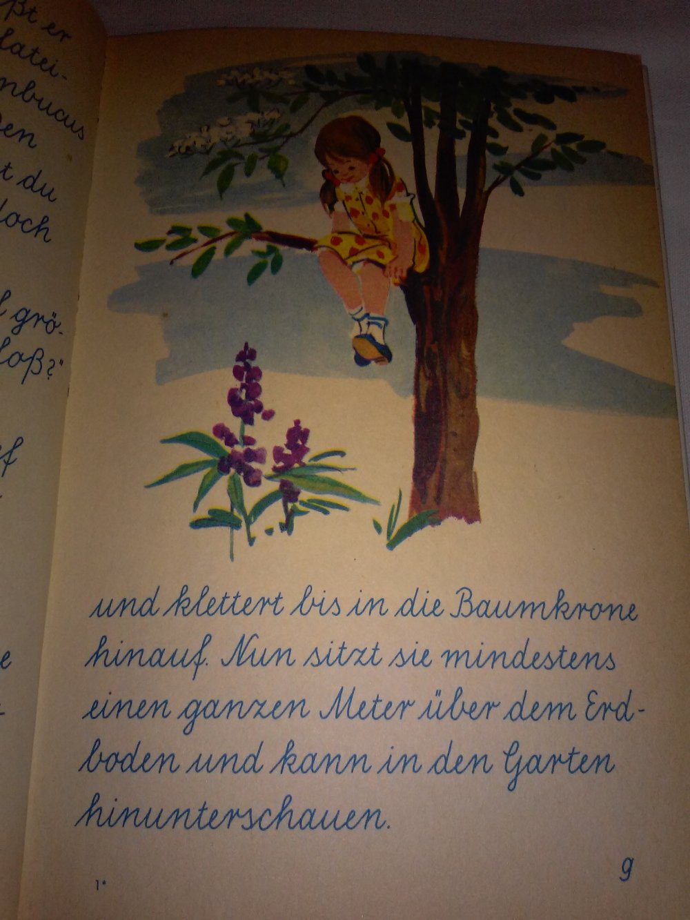Karl H Weise: Antje im Holunderbaum - Kinderbuch alt