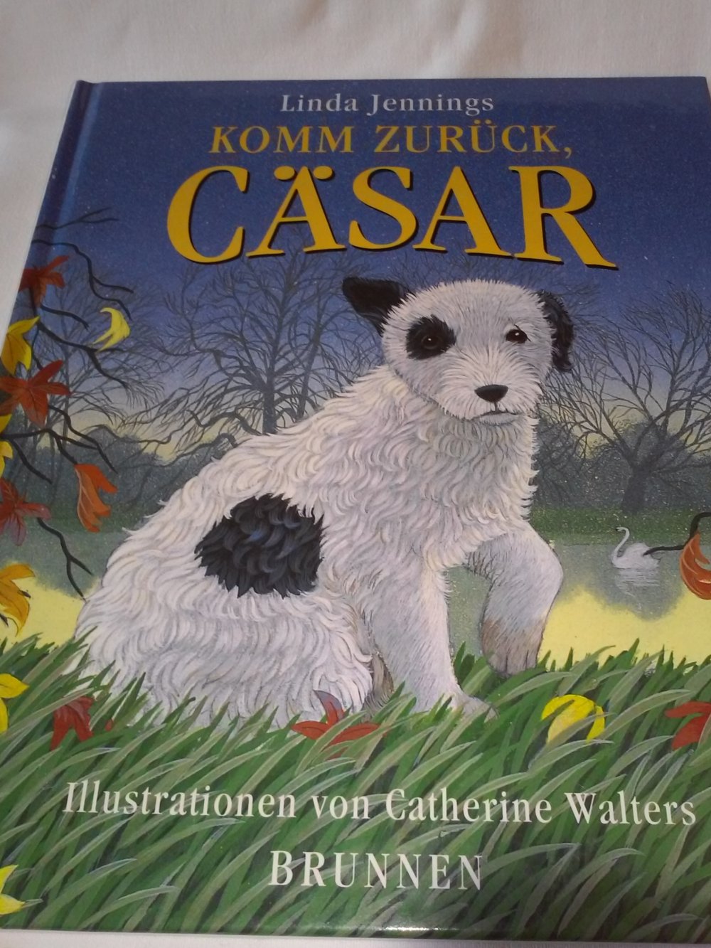 Bibo in Schwierigkeiten. / Komm zurück, Cäsar - Kinderbuch alt