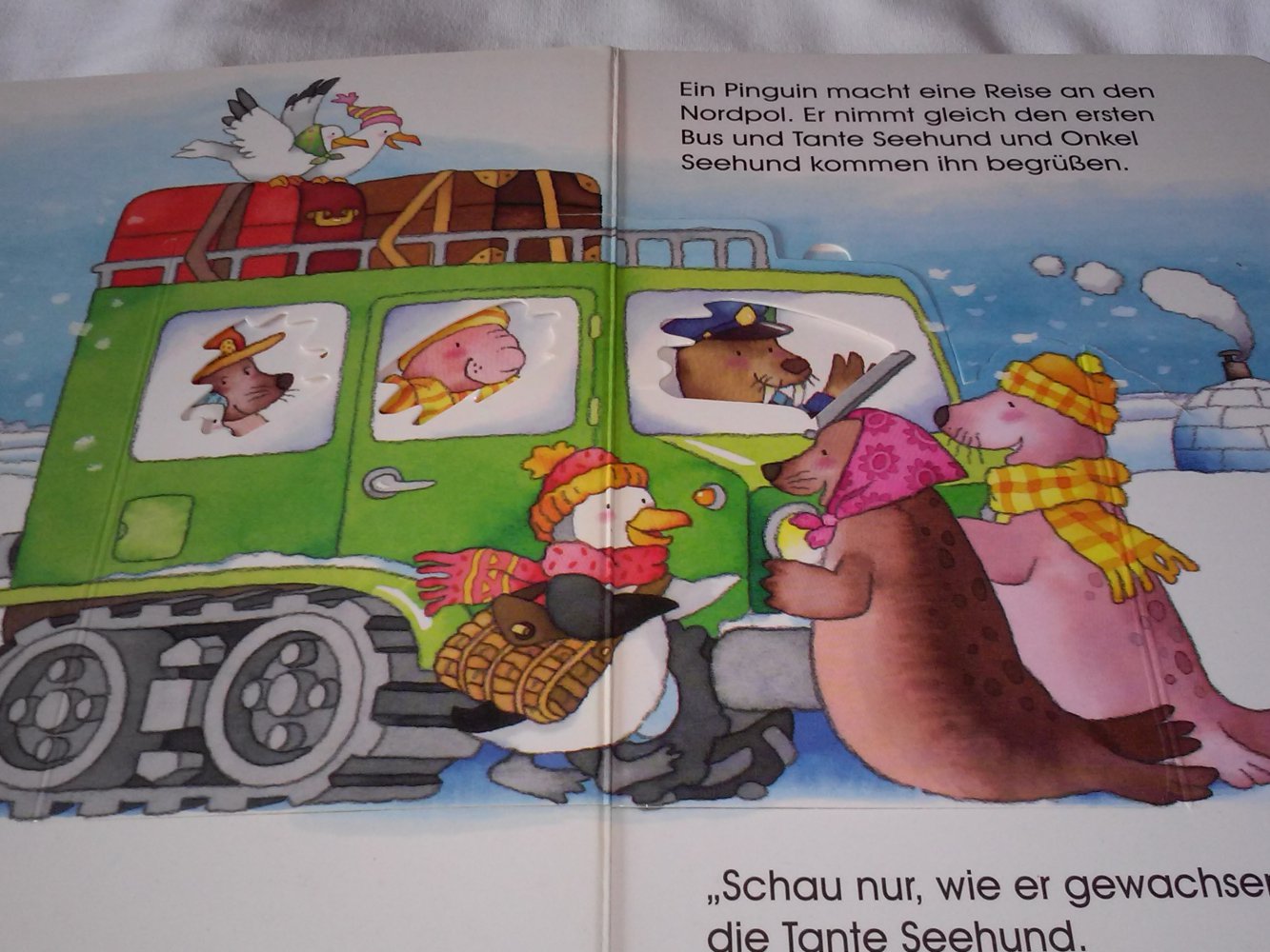 Ein Pinguin am Nordpol - Ein dreidimensionales Verwandlungsbuch Pappbilderbuch/Kleinkind