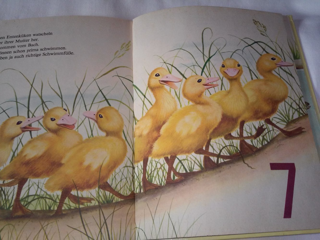 Zähl mit! Ein DAXI-Buch Nr. 43  altes Kinderbuch