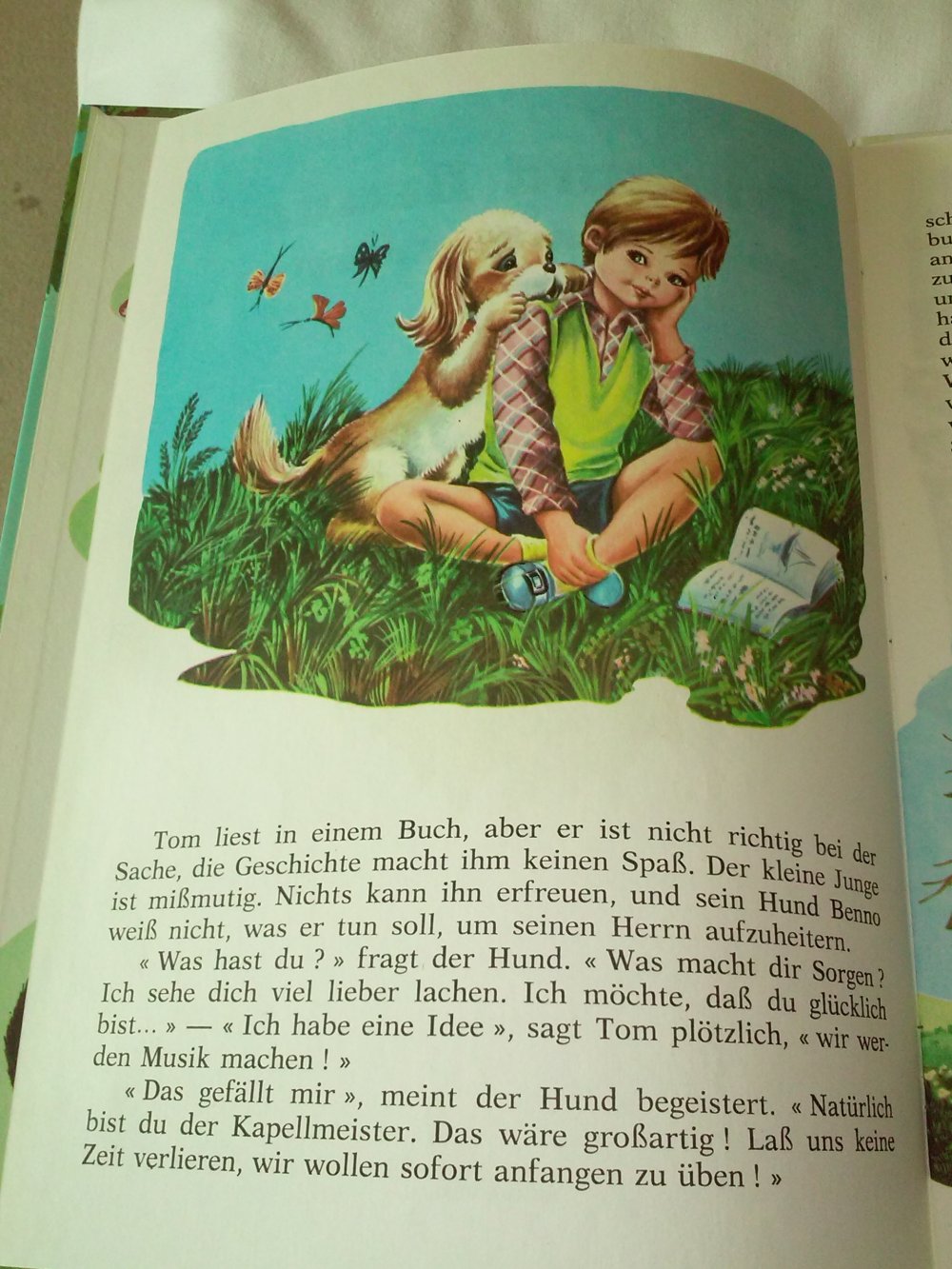 Tom und Benno, die beiden Musikanten - Hemma Kinderbuch alt