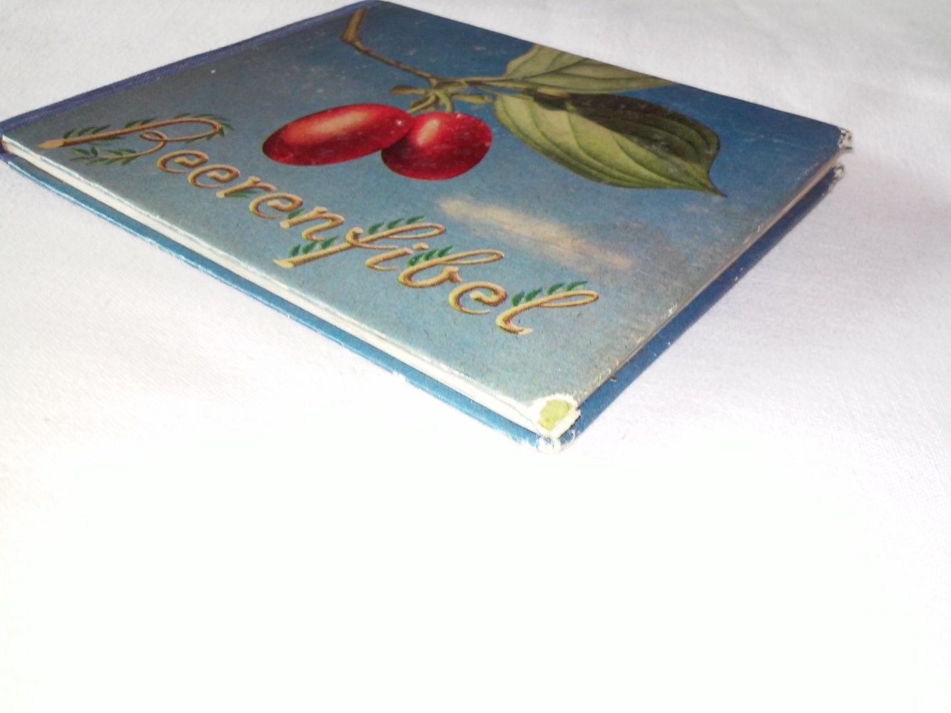  Walter Rytz: Beerenfibel  1.Alg.1951