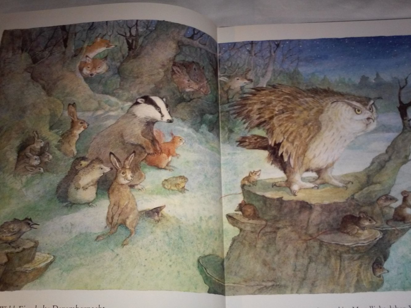 Ingrid und Dieter Schubert: Nikolaus oder Weihnachtsmann ? -Kinderbuch alt