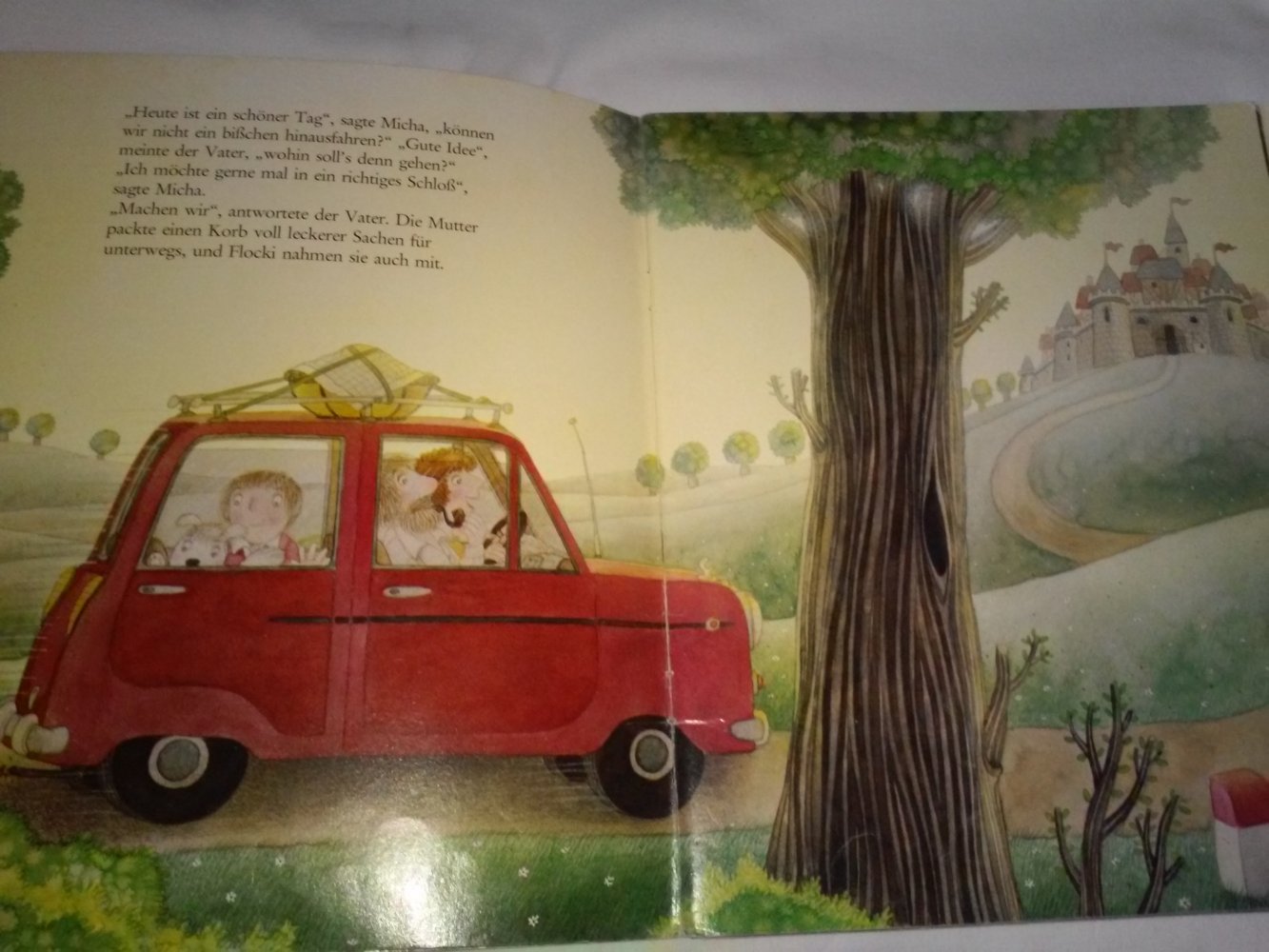 Agusti Asensio: Micha und das Schlossgespenst - Kinderbuch alt