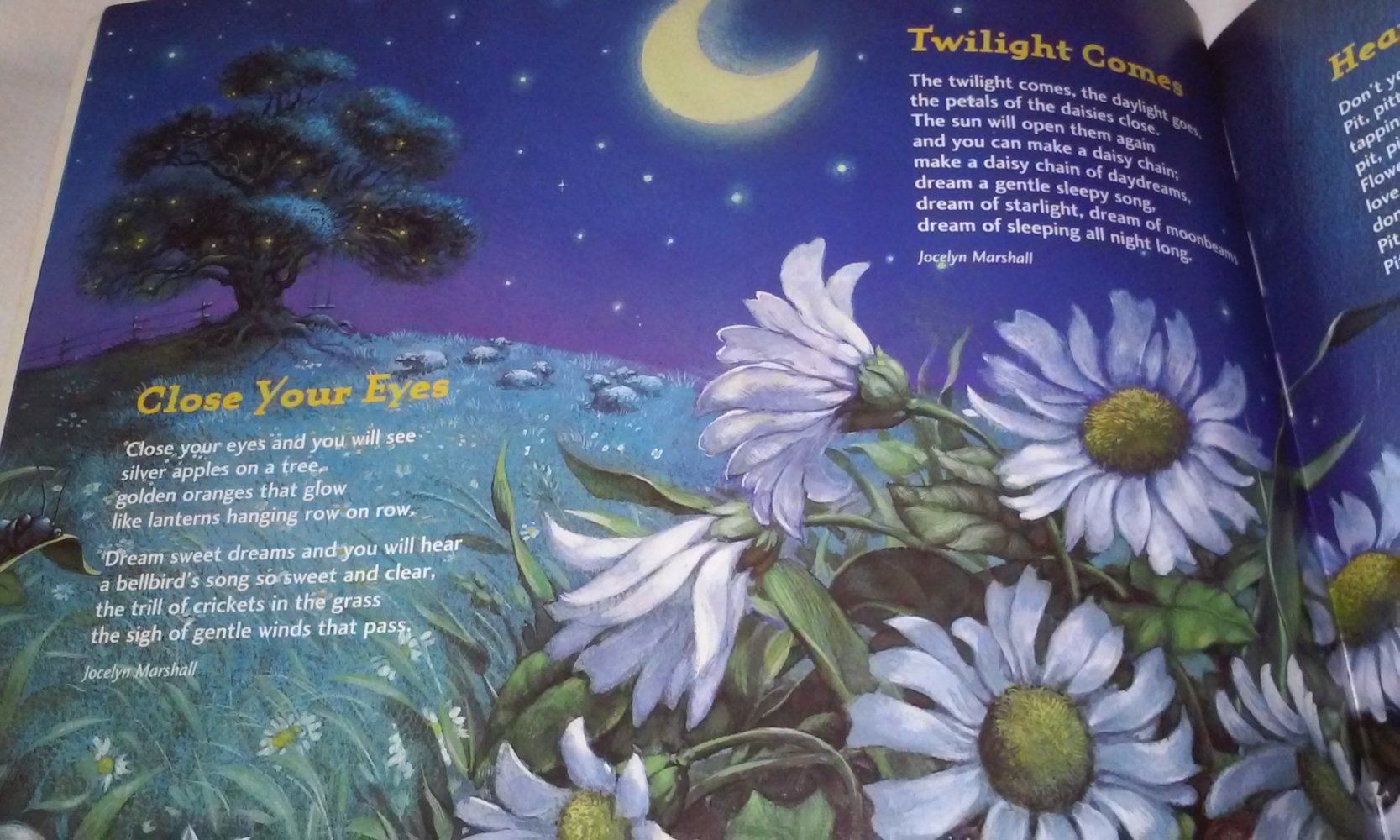 A Book of Pacific Lullabies Kinderbuch englisch inkl. CD 