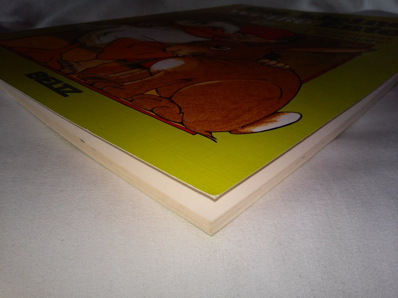 Mit Kindern lesen:  Die kleine weisse Ente Arbeitsheft 1. Schuljahr