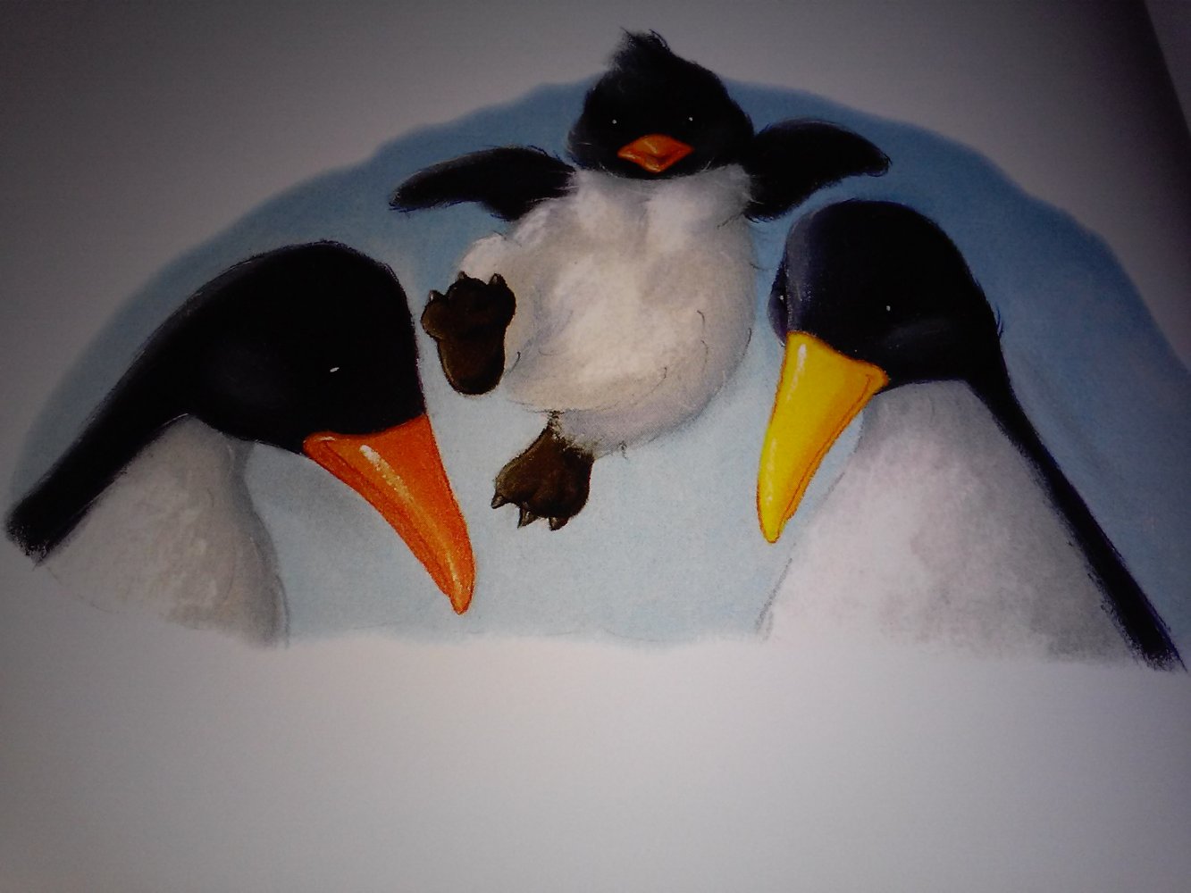 Susie Jenkin-Pearce: Pino und Pingi (Pinguin) - Kinderbuch alt