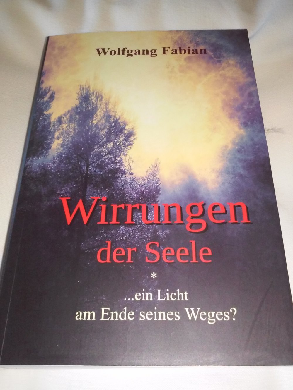 Neu!  Wirrungen der Seele  ...Licht am Ende des Weges -Geschenktipp-