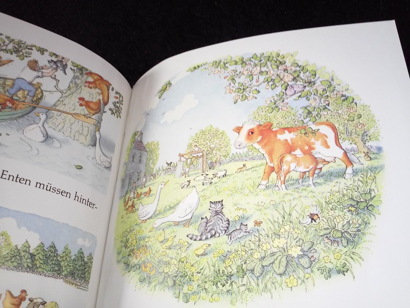 Benedict Blathwayt: Sei schön still, Rosa (Kuh) - Kindderbuch alt