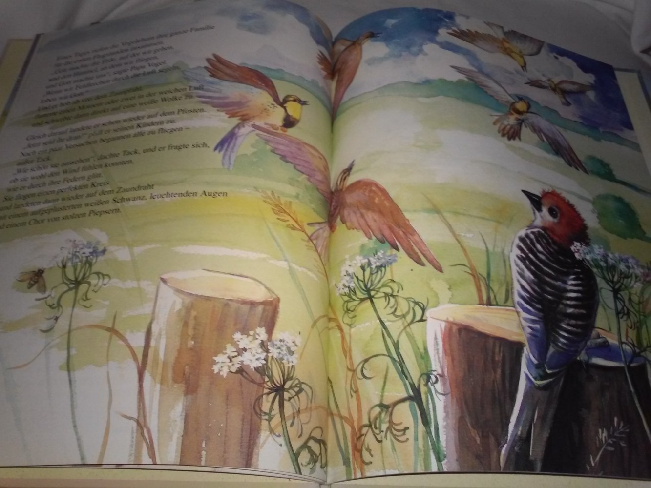 Caroline Nystrom: Die Lerche die nicht singen konnte - Kinderbuch alt