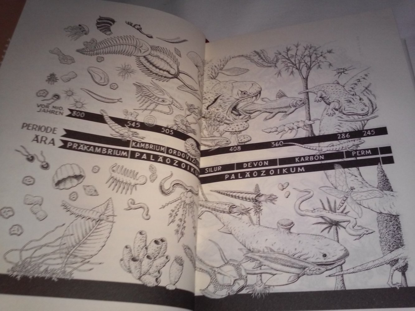 NEU! Bill Bryson: Eine kurze Geschichte von fast allem Geschenktipp