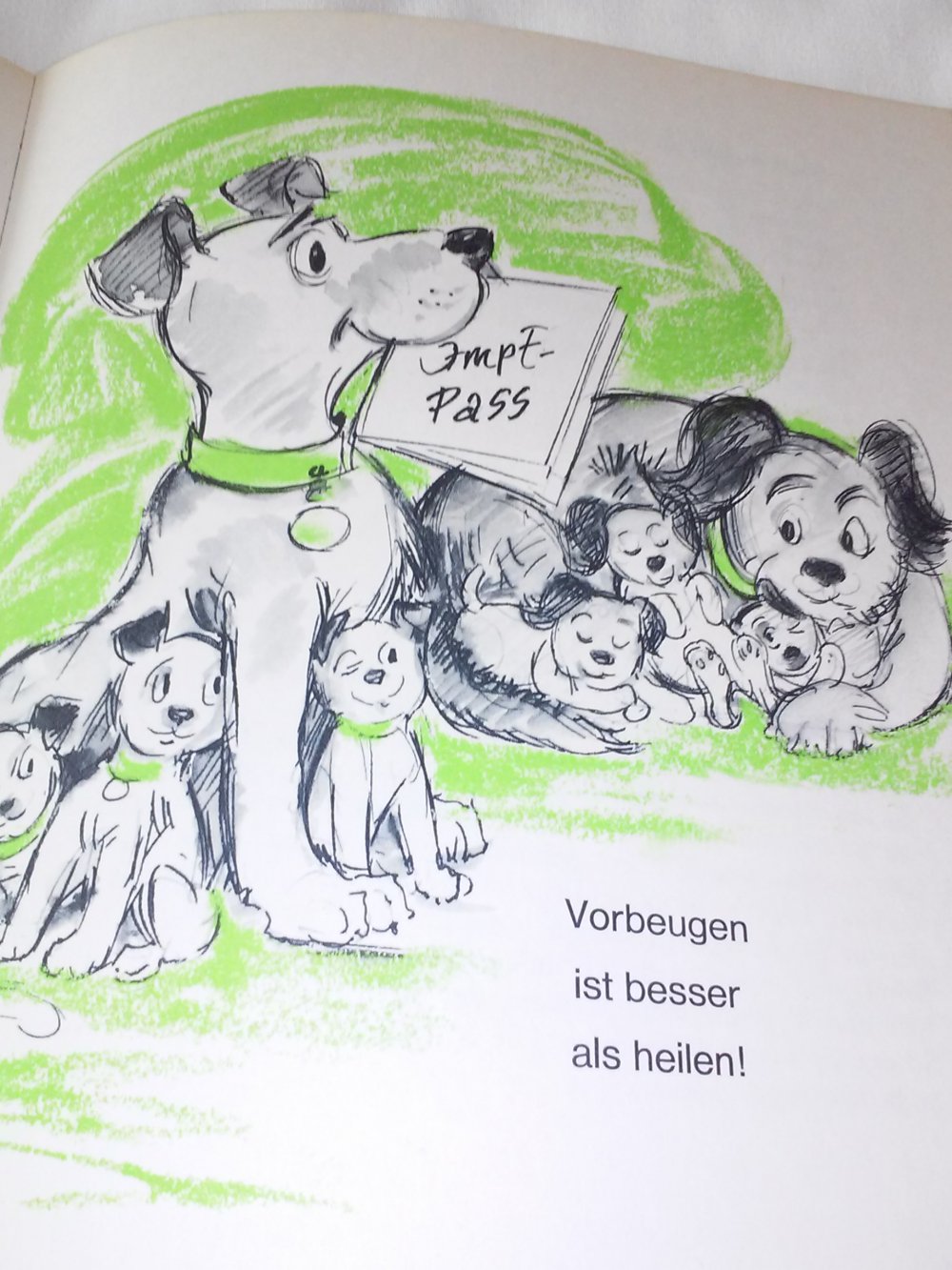 Auf Du und Du. Das Buch für Hundefreunde