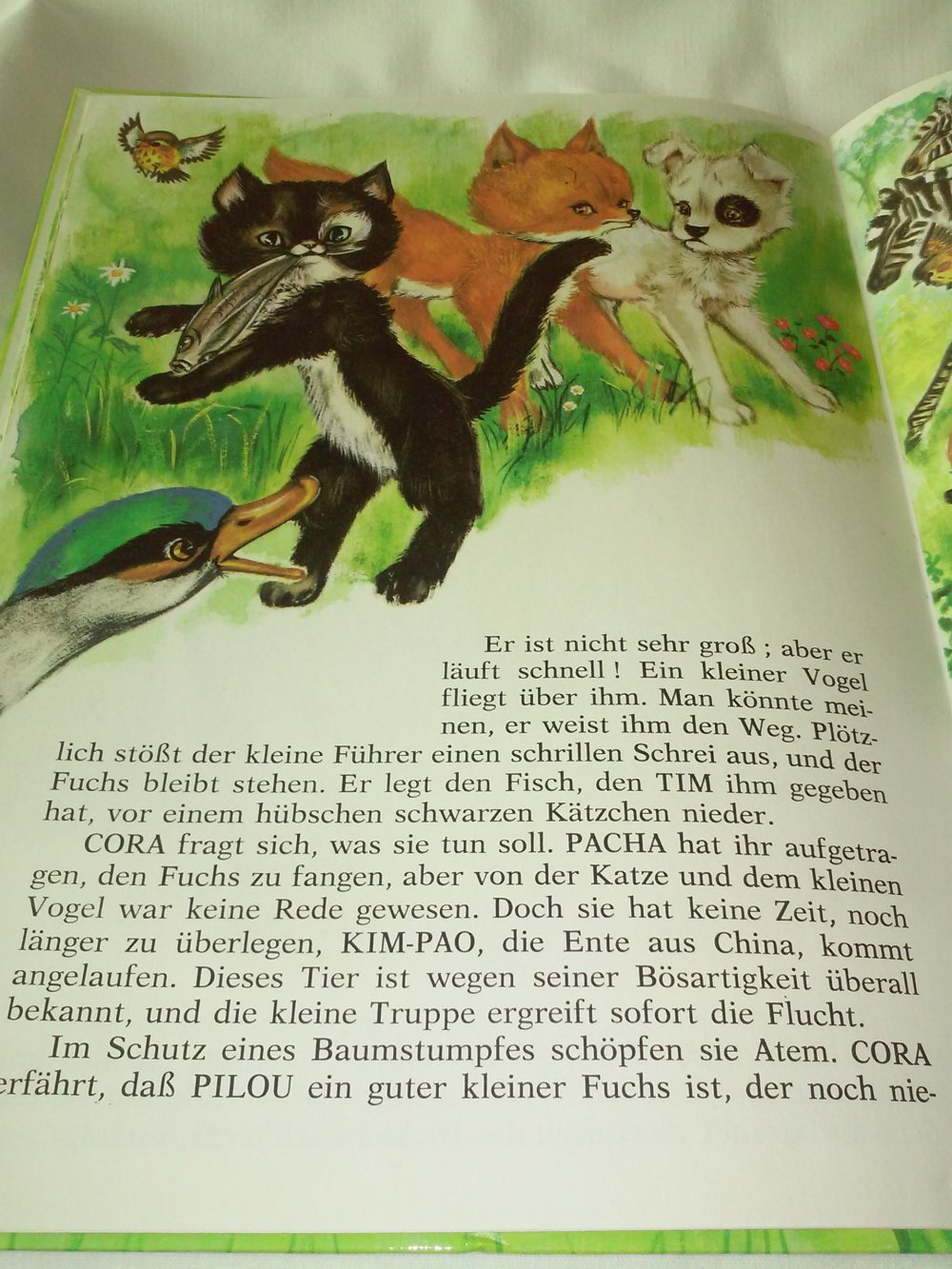 Coras Erlebnis im Tierpark  altes Kinderbuch