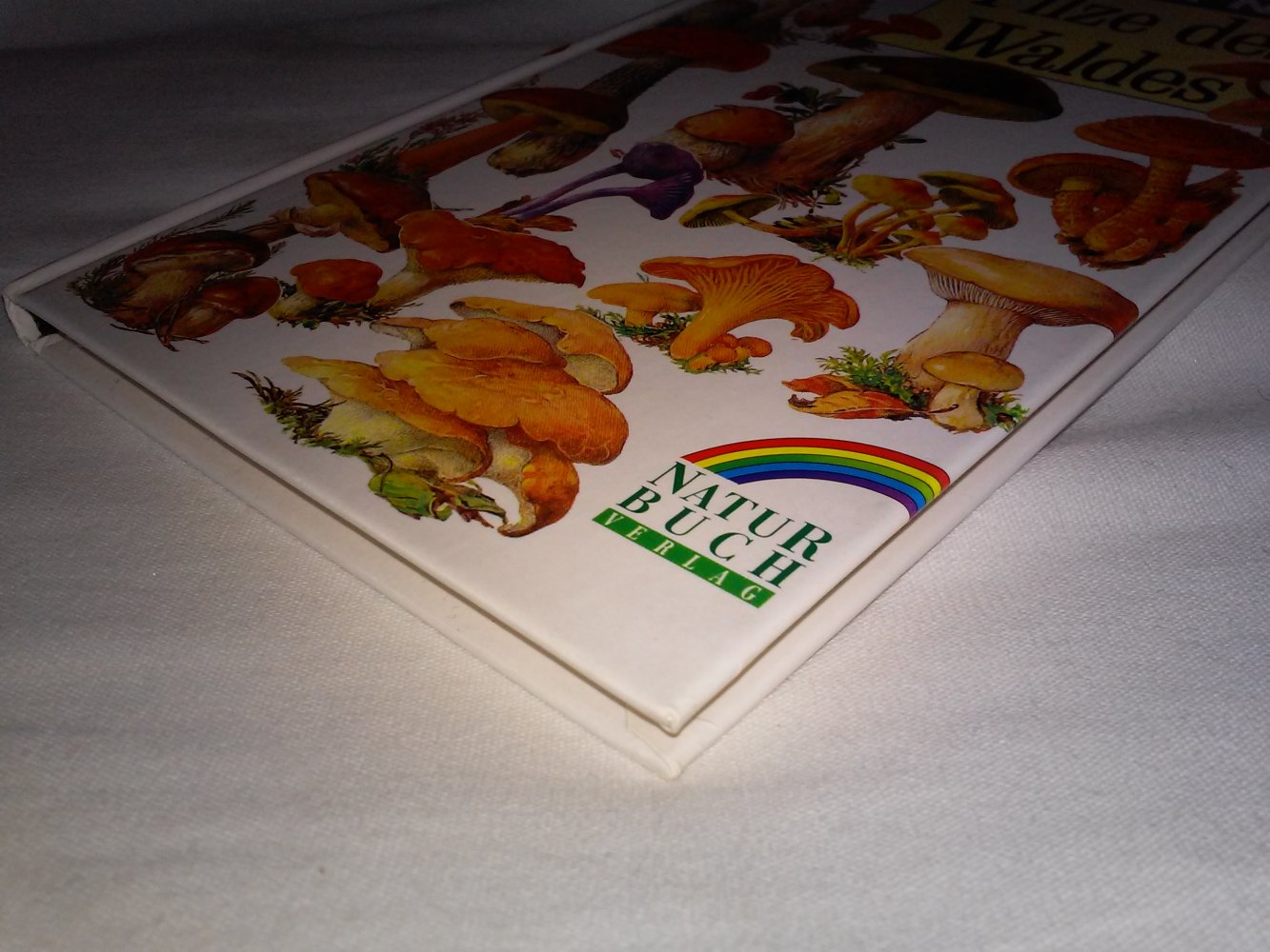 Gottfried Amann: Pilze des Waldes (Flechten, Moose,Farne, Gräser,Kräuter).