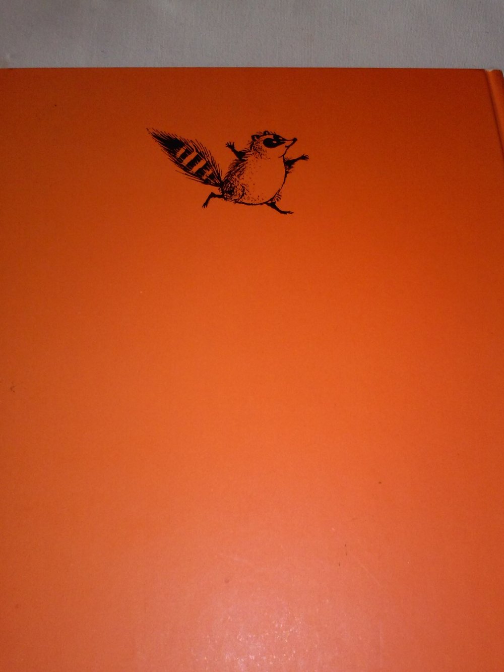 A.D.Hildebrand: Wolle Waschbär - Kinderbuch alt (1971