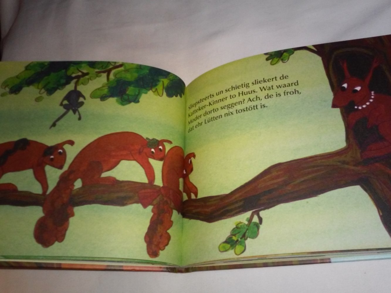 Jo M Turkiewicz: Aike de Katteker /Aike sien Aventüür