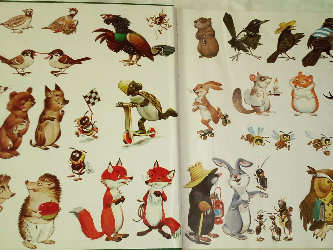 Tony Wolf: Geschichten aus dem Fabelwald von den Tieren. Bd.1 -Kinderbuch alt 