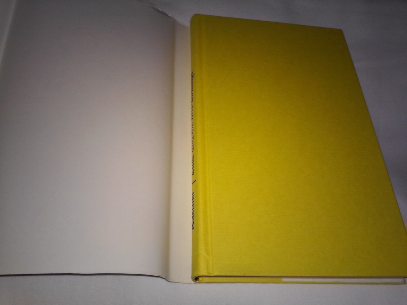 Erich Kästner: Emil und die drei Zwillinge