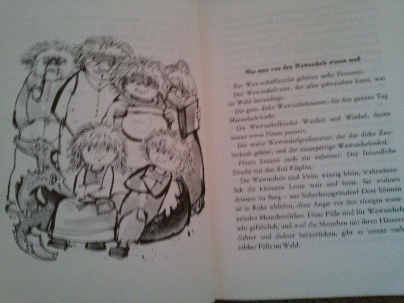 Irina Korschunow: Die Wawuschels feiern ein Fest