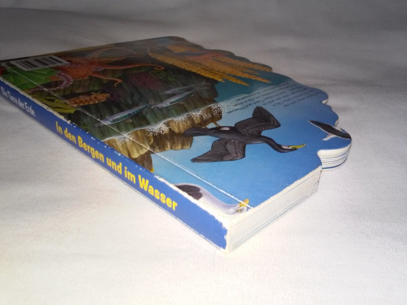 Bob Bampton/Bernhard Thornton: Die Tiere der Erde (Berge und Wasser)