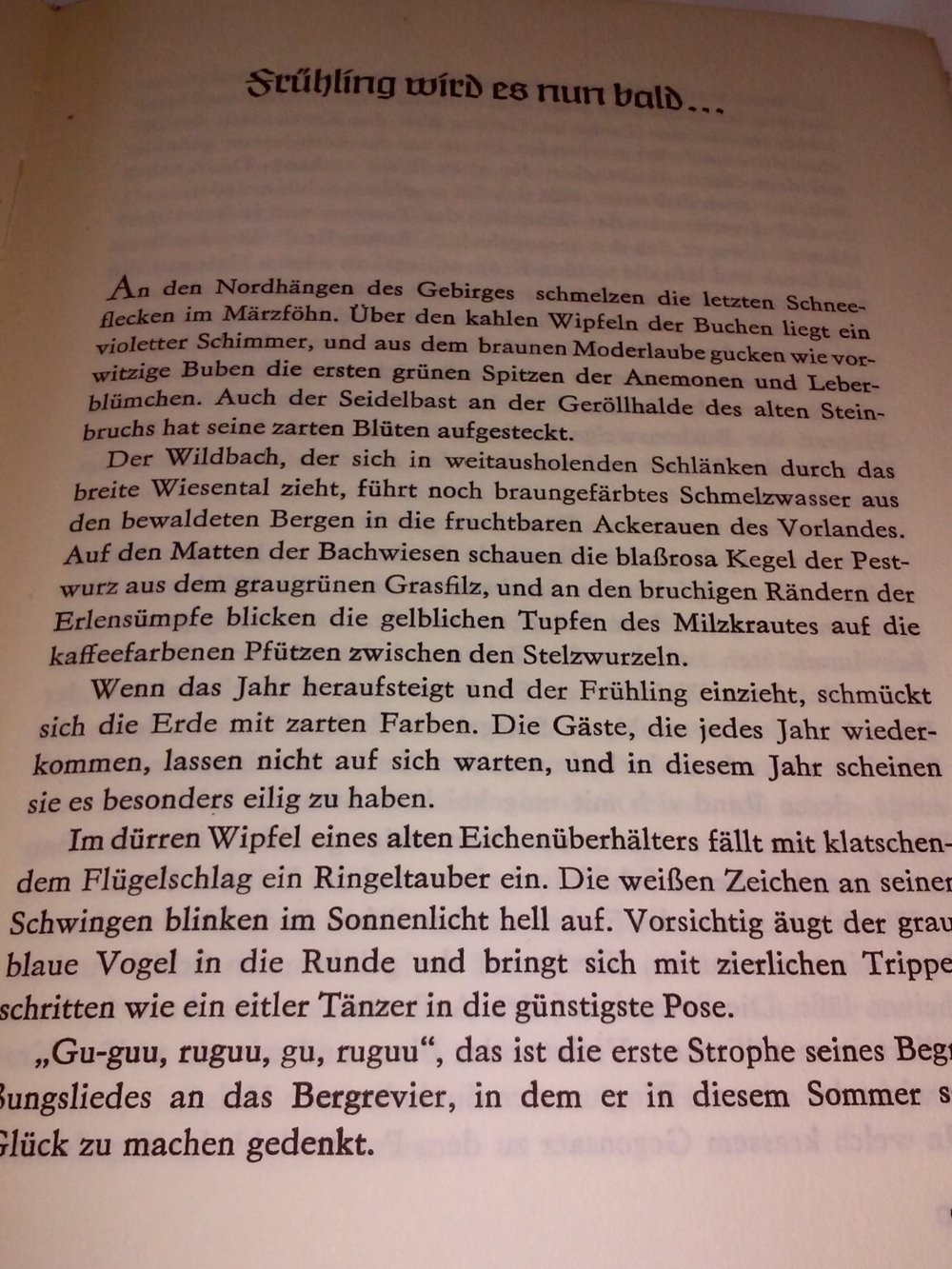  Hans-Jürgen Momberg: Auf grünen Pfaden, Aufzeichnungen eines Jägers