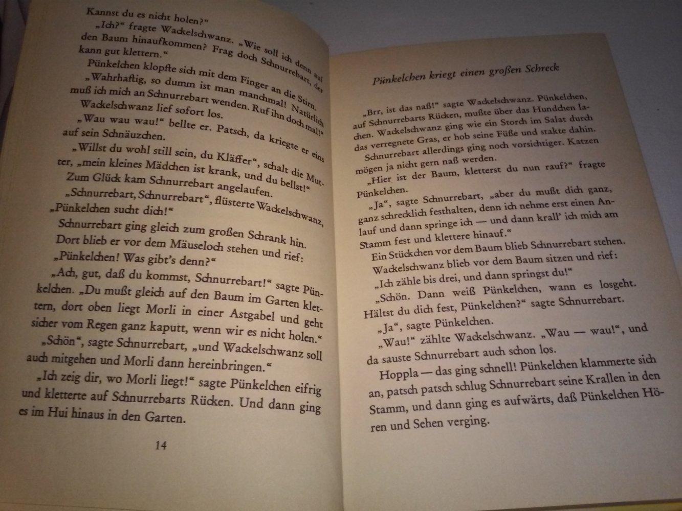 Dick Laan:  Pünkelchen sucht den Sandmann - Kinderbuch alt