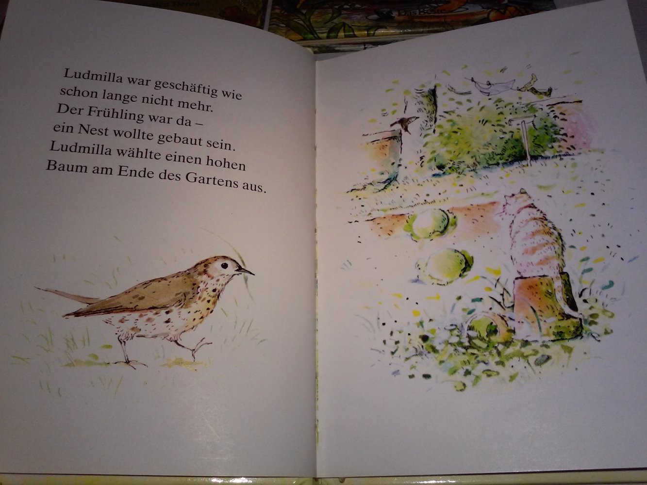 MEINE NATURBÜCHER: Der Zirkus im Gebüsch/Die Geschichte von ...