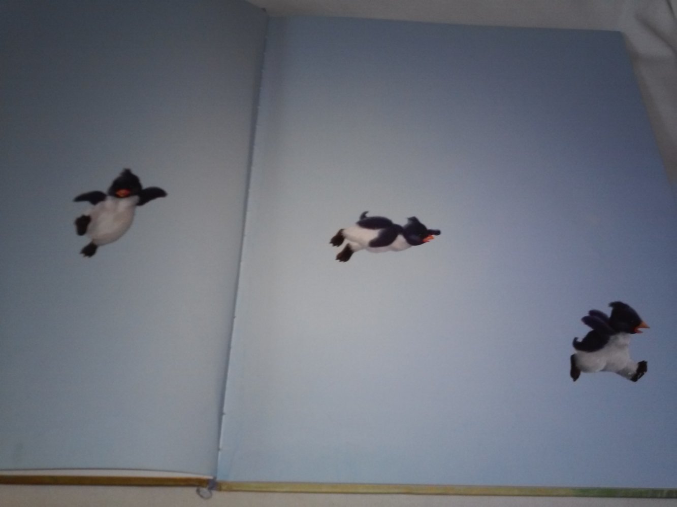 Susie Jenkin-Pearce: Pino und Pingi (Pinguin) - Kinderbuch alt