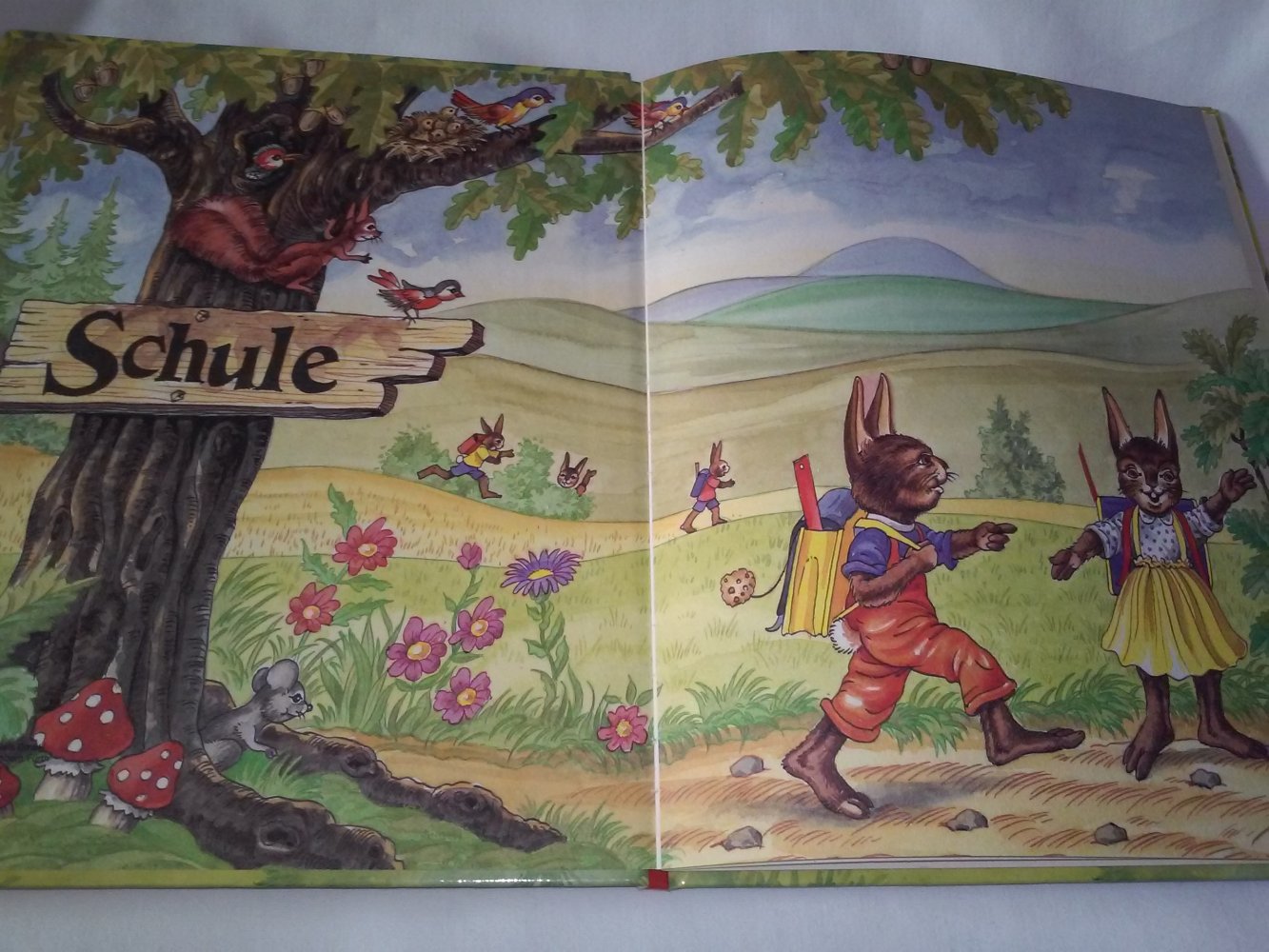 Marc Heinrich: Lustige Hasenschule - Kinderbuch alt