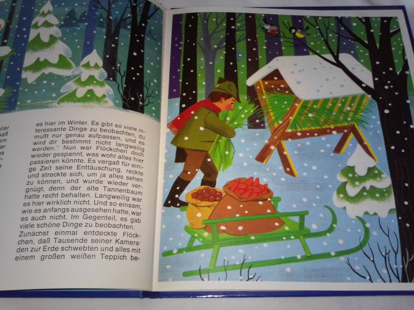 Ursula Schütz: Schneeflöckchens große Reise - eine Weihnachtsgeschichte 