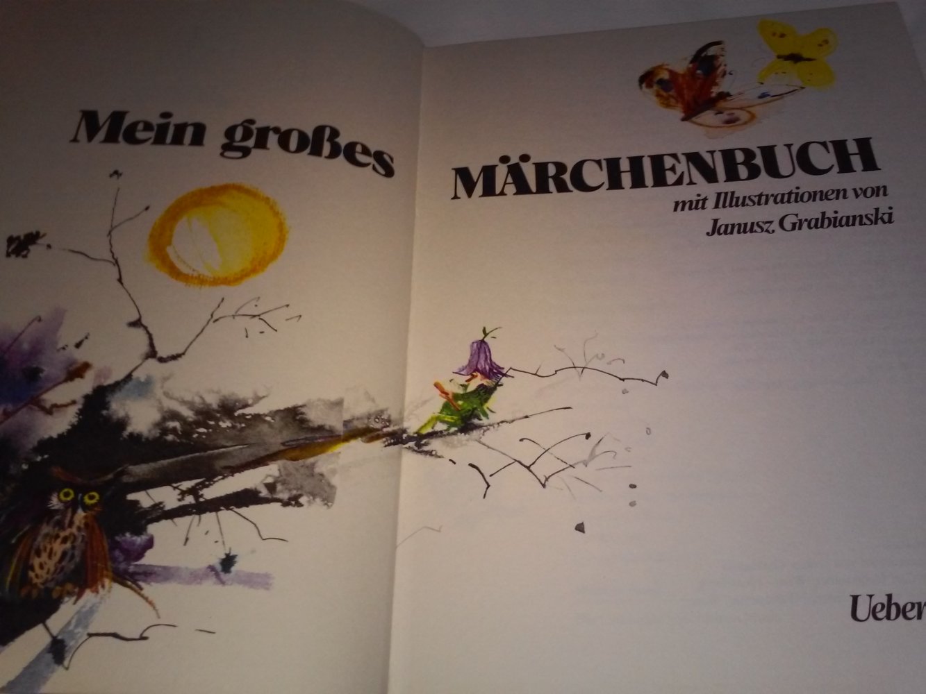 Janusz Grabianski: Mein grosses Märchenbuch - Kinderbuch alt