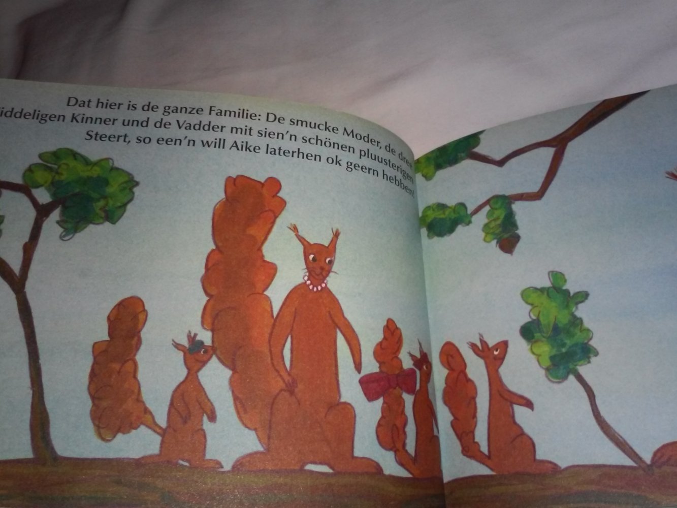 Jo M Turkiewicz: Aike de Katteker /Aike sien Aventüür