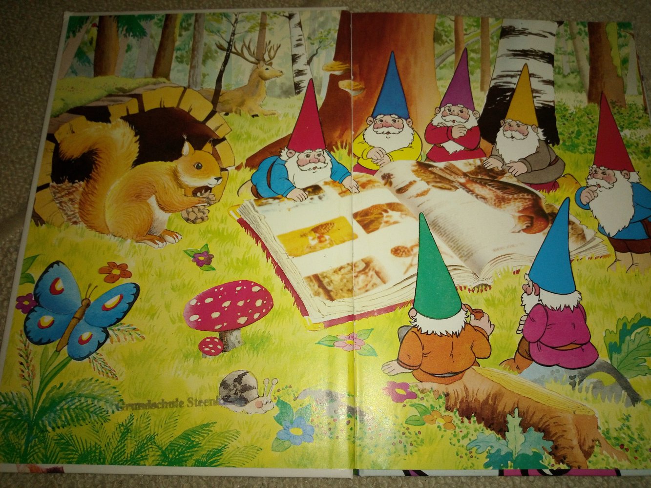 Die Welt von David dem Kabauter 19 - Wo sind die Kabauter ?