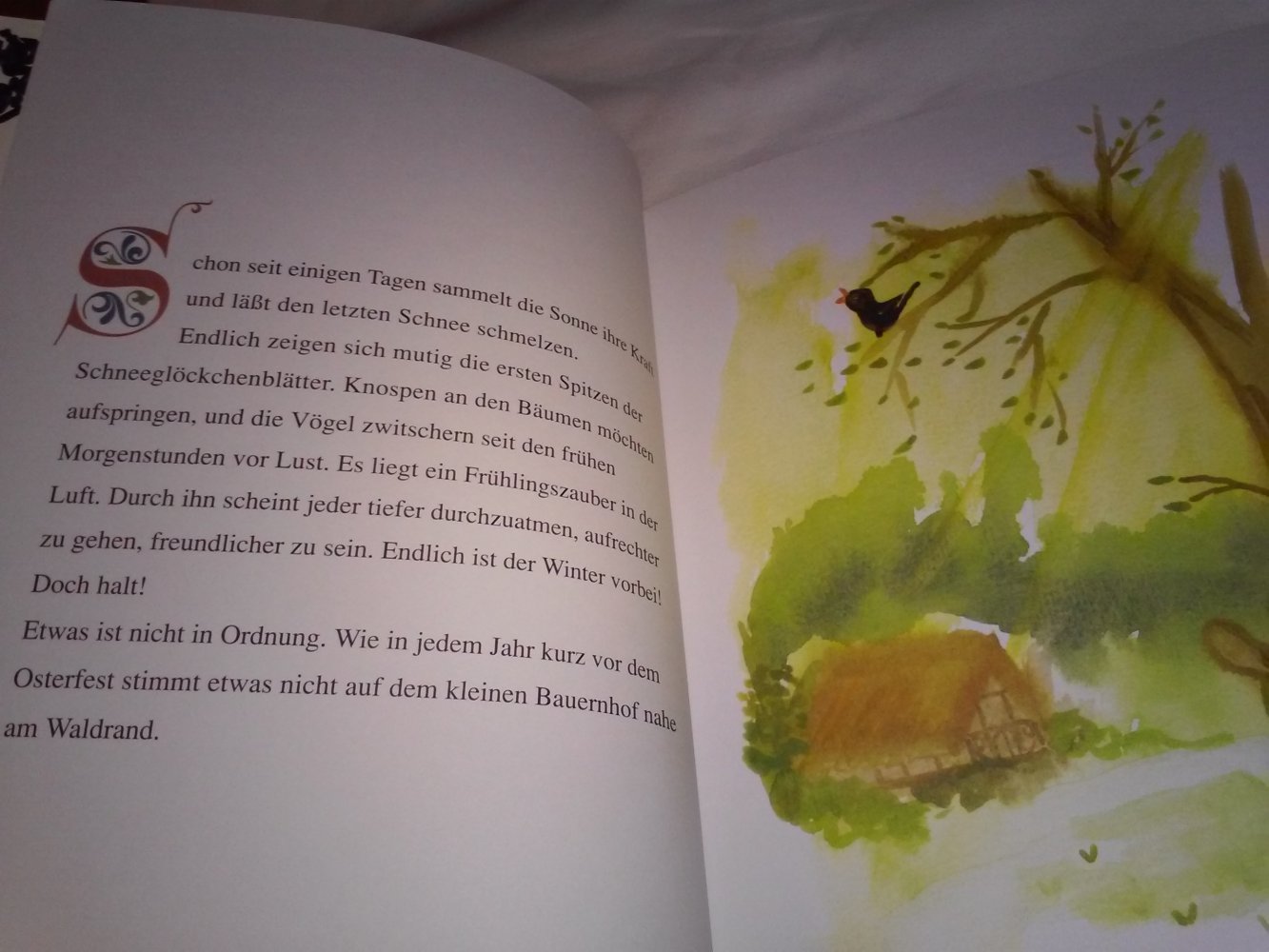 Osterhäschen Willibald: Kann man es nicht allen recht machen? 1.Auflage 