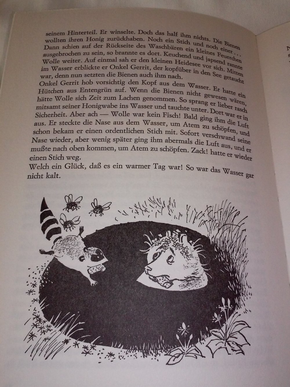 A.D.Hildebrand: Wolle Waschbär - Kinderbuch alt (1971