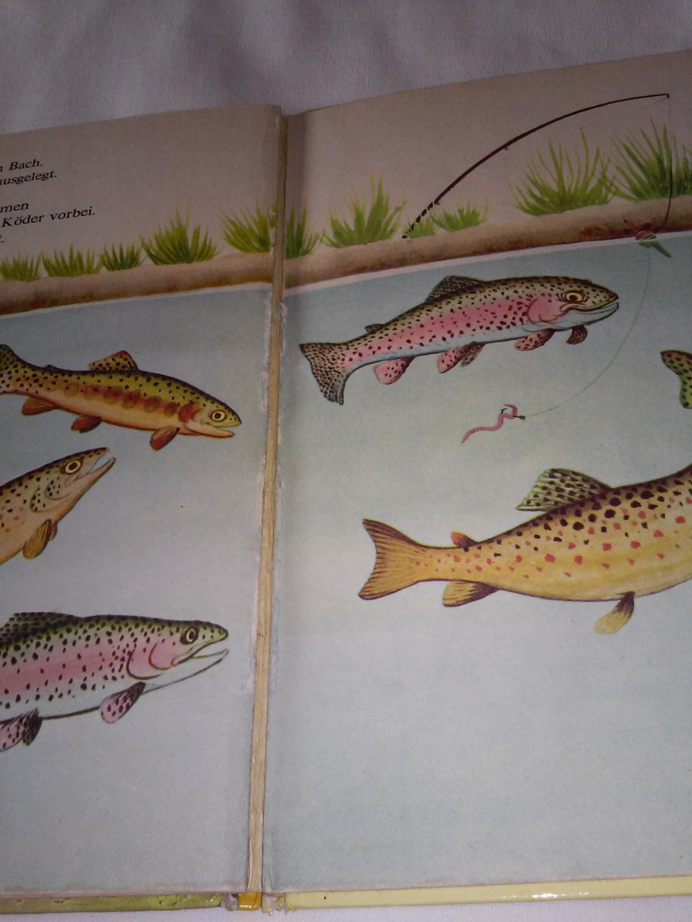 Zähl mit! Ein DAXI-Buch Nr. 43  altes Kinderbuch