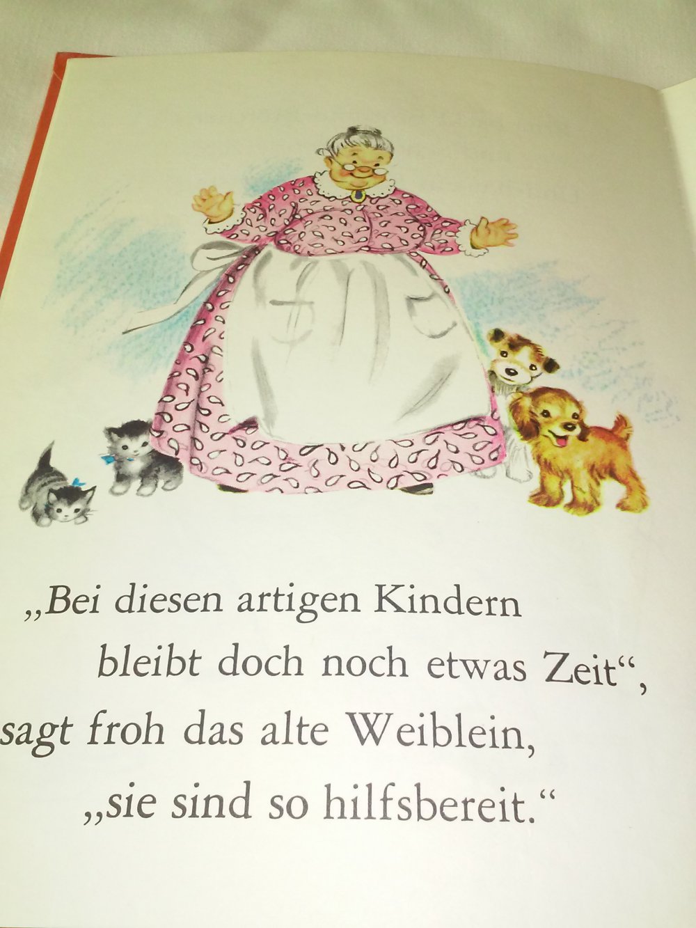 Die Kinder im Schuh. Ein DAXI-Buch Nr. 52  altes Kinderbuch
