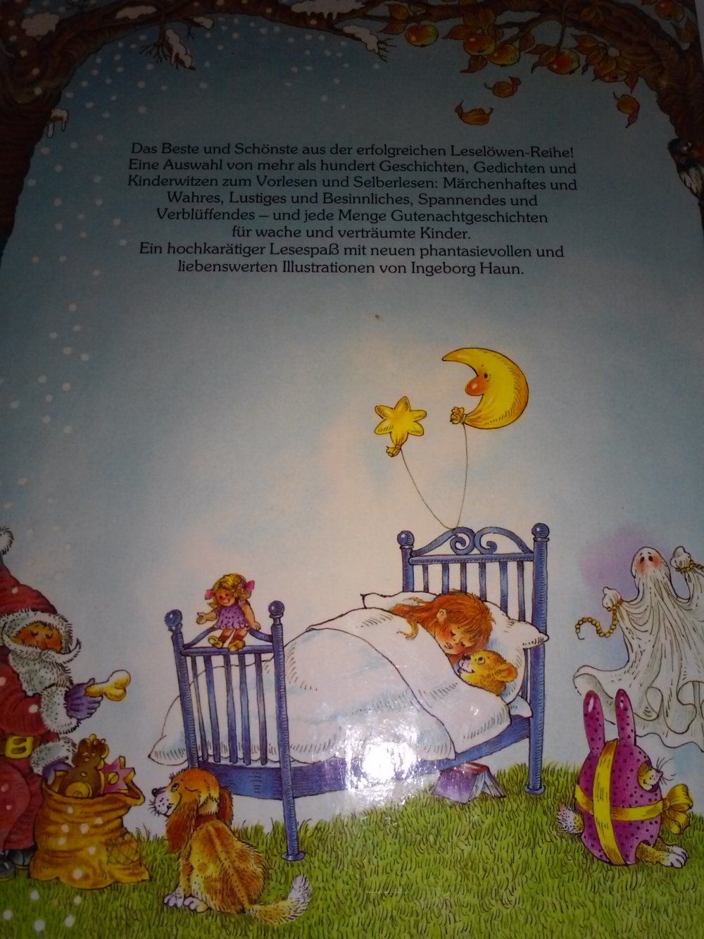 Das große Leselöwen-Geschichtenbuch