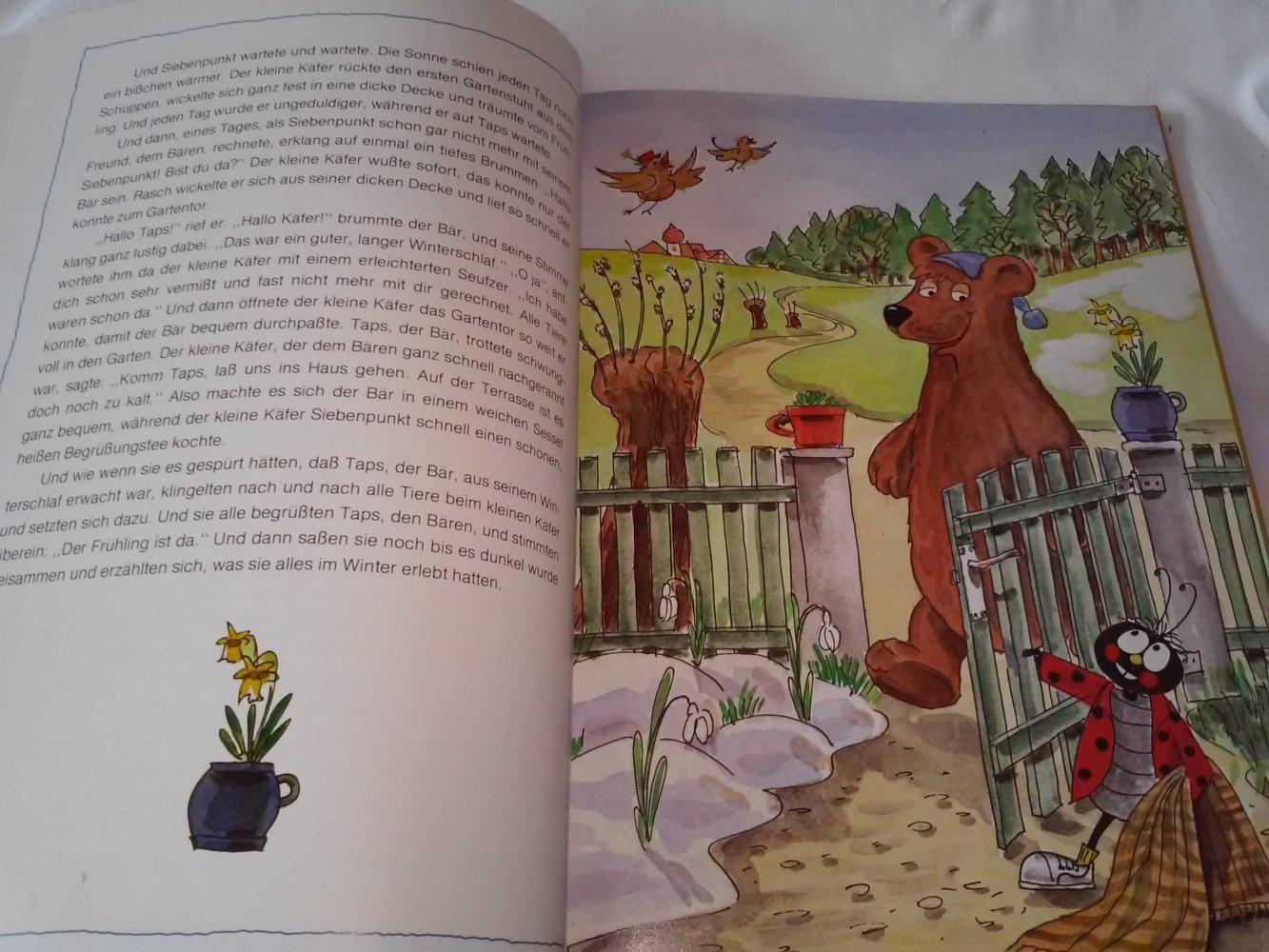 Der kleine Käfer Siebenpunkt