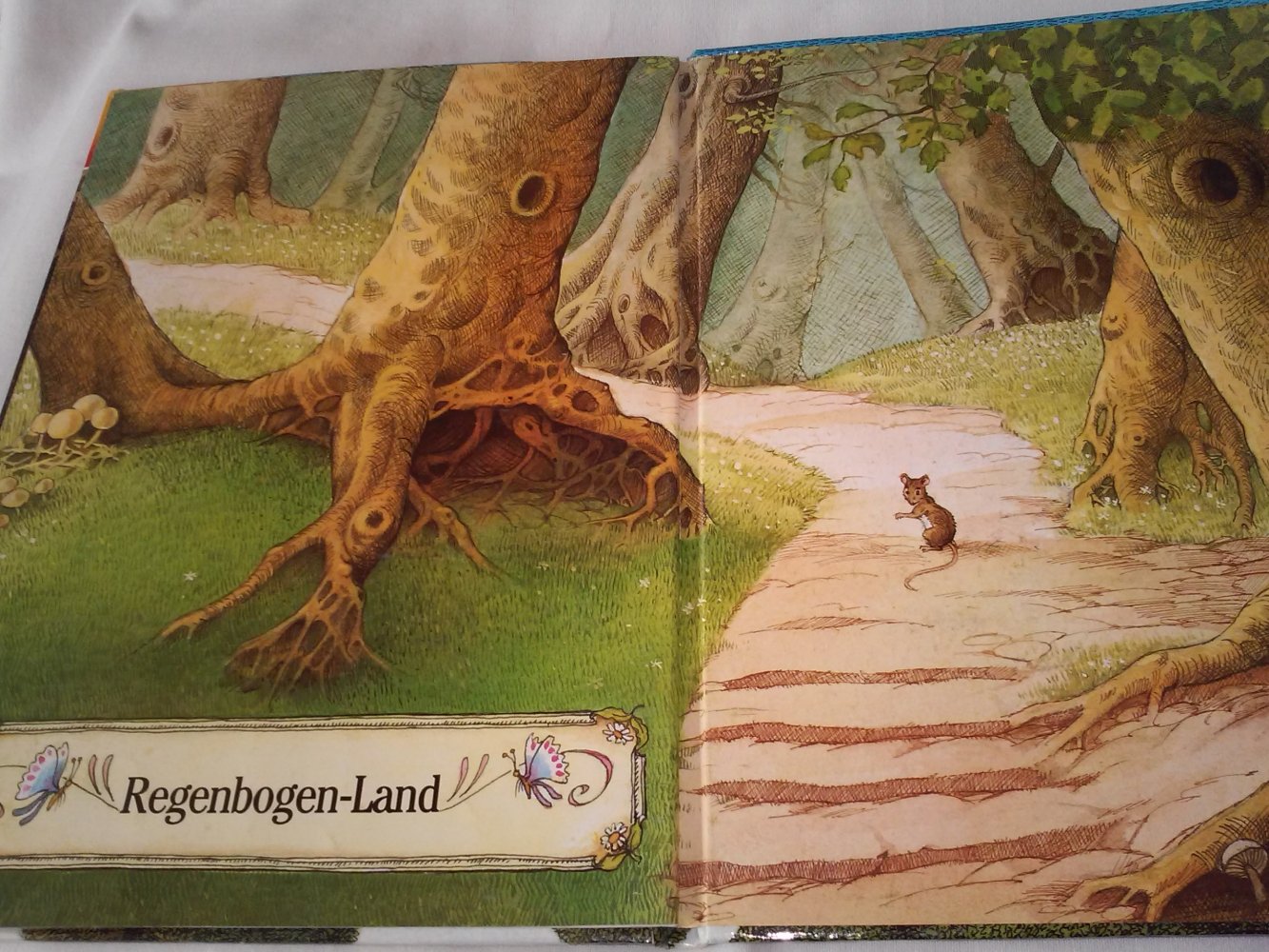 Jane Patience: Regenbogenland - Wollfuß und die Eule - Kinderbuch alt