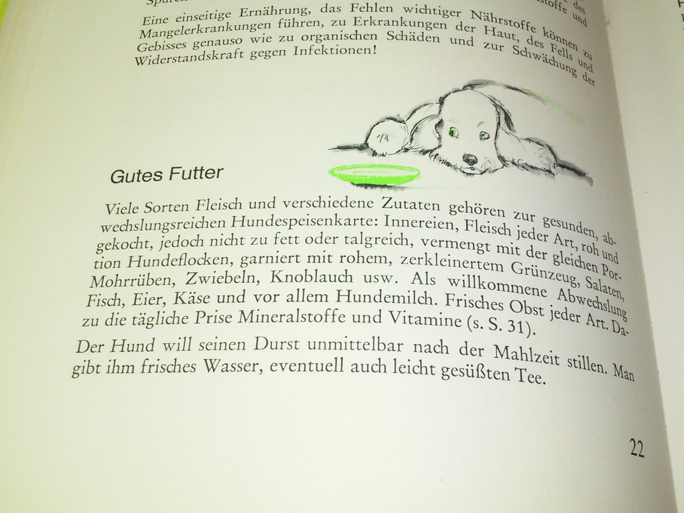Auf Du und Du. Das Buch für Hundefreunde
